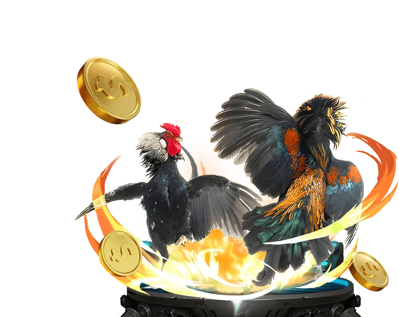 Tiền thưởng nạp lại hàng tuần cho người chơi thể thao